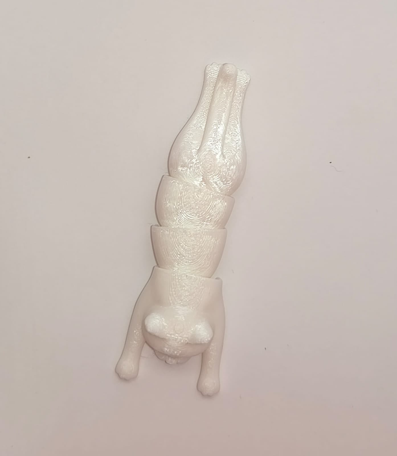Gato