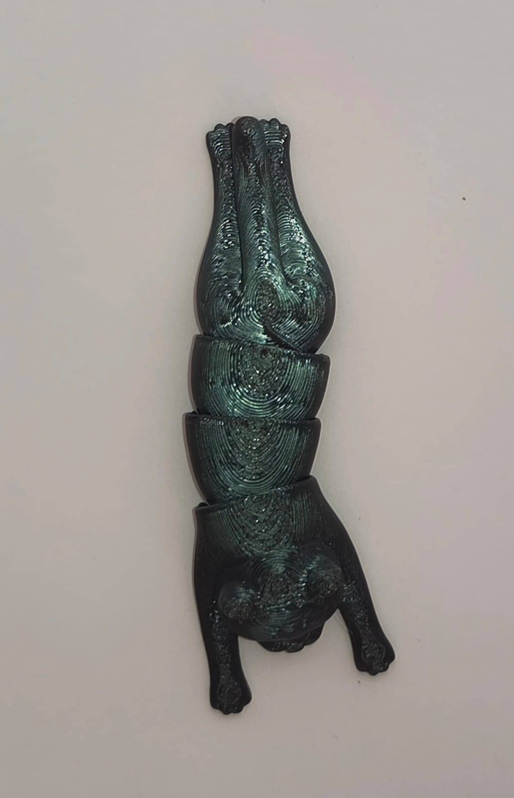 Gato