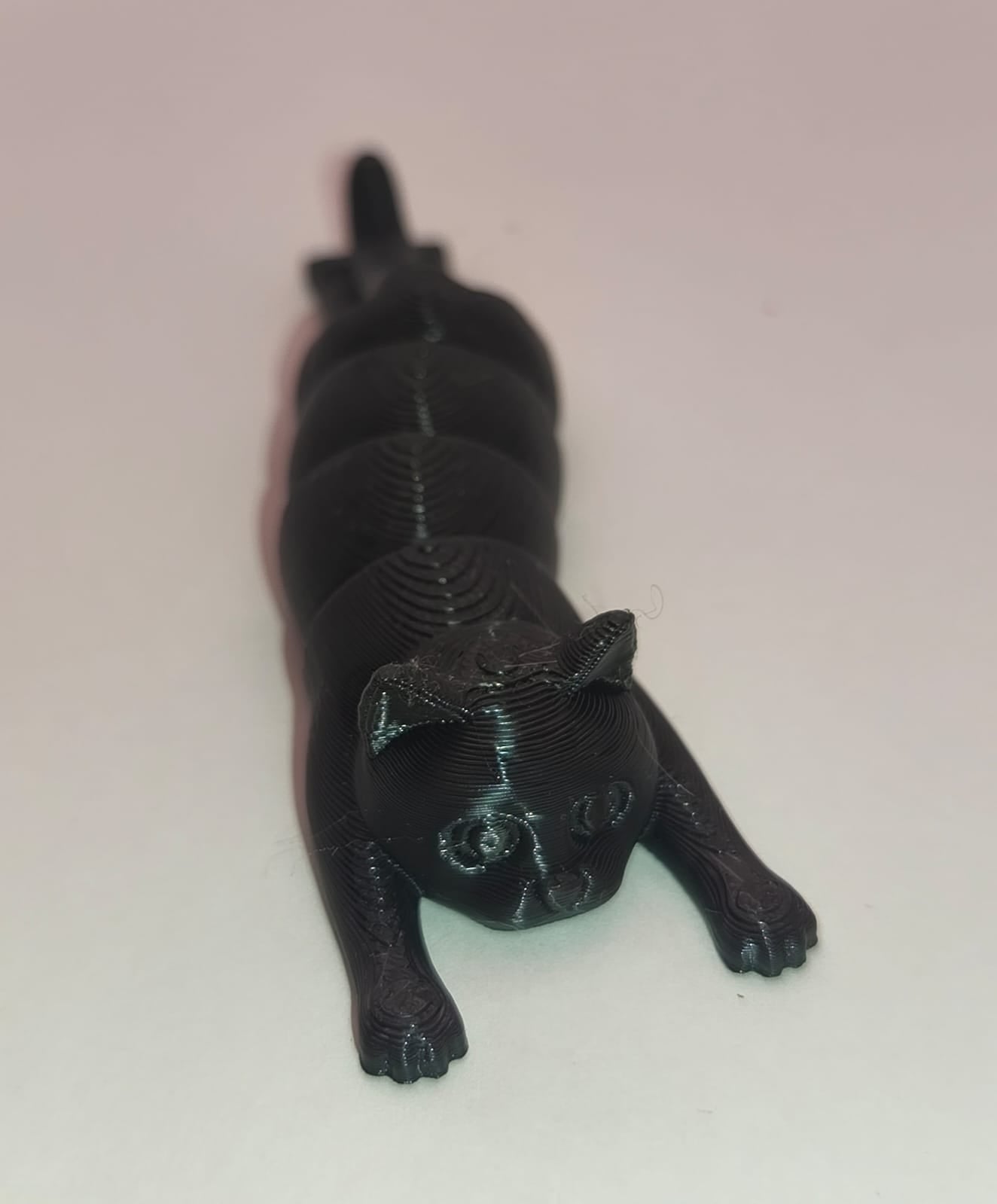 Gato