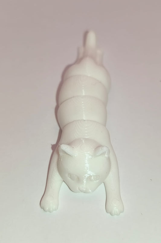 Gato