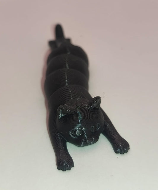 Gato