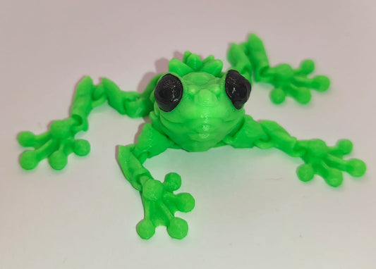 Sapo Pedra
